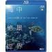 ե쥹Blu-ray  HD ~Amazing Blue in the World HD~ ()