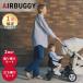 AirBuggyCoco воздушный Buggy здесь здесь специальный 2 way панель EX 2way board EX коляска панель Buggy панель воздушный Buggy AirBuggy COCO