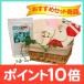 �z�i�v�L�� �͂��߂ăZ�b�g SweetCotton�����^ 9�_�Z�b�g