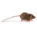  handle sa(HANSA) HANSA light brown mouse No.5577 12cm