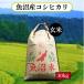  рыба болото производство Koshihikari неочищенный рис 30kg. мир 7 год производство 1 и т.п. рис Niigata префектура производство ..... Niigata прямая поставка 