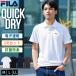  специальная цена filler FILA рубашка-поло мужской короткий рукав UV cut dry . пот скорость . антибактериальный дезодорация олень. . бизнес Golf спорт 