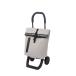 ko*koro(Cocoro)repcocoro GENT (ko*korojento) покупка передвижная корзинка 30L серый [ROLLY