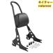  sissy bar Harley sport Star detachable back rest accessory bike touring XL883N 2009-2020 XL1200X 2010-2020 2 color possible selection 