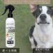 �o�C�I�K���X BIOGANCE �G�N�X�g���E���X �^���O�������[�o�[ 250ml ���p �X�v���[ �g���[�g�����g ��� ���� �ы� �I�[�K�j�b�N