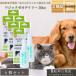 �}�W�b�N�[�I �f�C���[ 30cc �~6�Z�b�g�� ���p �f���^�� EDOG JAPAN ���{�� �����̎��݂��� ���C ���� �A���J���d�� �Z�����[�X�K���g�p ���Y�� �y�b�g�p �v