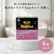 ���̖уg���g�� Easy�l�b�g 50���� �~6�Z�b�g �� �r�����l�b�g ���a10cm�Ή� �g���̂ă^�C�v ���{�� �{���X�^�[ ���C�r���a �v���[���g