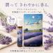 tei Lee aroma Japan Hokkaido лаванда roll on 7mL ×3 шт. комплект лошадь масло ввод натуральный . масло aroma масло сверху . хорошо .......