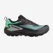 Salomon GENESIS GORE-TEX( GENESIS Gore-Tex ) 27.0cm N.ATLANTIC/BLACK/S.SKIN