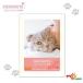ねこにモテたい入浴剤 NEKOMOTE ねこもて 30g 12個セット ローズの香り BAC64130  バス タイム お風呂 おうち時間