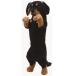 ta...Zoo... миниатюра Dux fndo....ZOO one ko акционерное общество Lead стандартный товар животное nigrumi мягкая игрушка .. собака собака подлинный товар ....