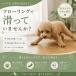 �� �C�� ����~�� �E���ɂ��� ���r�ߖh�~ �h�b�O�\�b�N�X 4���Z�b�g �����ی� �V�j�A�� �t���[�����O�΍� �ʃt�@�X�i�[�Œ� ���^�� ���^�� XS S ���� �֘A�摜1