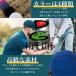 PrimeGolf �S���t���K��� �L�����f�B�[�{�[�� ���K�O�b�Y �S���t�A�C�e�� ��b���K �X�C���O �g���[�j���O�p�i �Ђ��t���{�[��  ���� �֘A�摜2