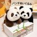  Panda мягкая игрушка Dakimakura симпатичный .. серия животное часть магазин украшение кукла игрушка 30/40/55cm 2 цвет день рождения подарок подарок 