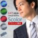 [ outlet ] галстук кошка Thai точка рисунок кошка рисунок кошка рисунок животное рисунок 5 цвет .. кошка полоса рисунок b-CT11