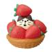  deco re stylish popular concombre..... strawberry cat cat goods 