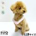so кольцо Ford gSUO RING for dogs 28°ICE Star отражатель декоративный элемент re кнопка есть LLB