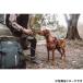 �{�X+5�{�I�ő�|�C���g26�{�I�{������I�C�[�W�[�h�b�O EZYDOG �G�N�X�v���X�n�[�l�X XXS ���b�h �n���h���t�� ���� ���^�� �֘A�摜1