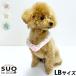 so кольцо Ford gSUO RING for dogs 28°ICE Star отражатель декоративный элемент re кнопка есть LB