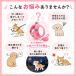 �� �n�[�l�X �x�X�g�^ �E���Ȃ� �����Ȃ� ���[�h�t�� ���^�� ���^�� �L �L�p ���b�V�� ���� �ȒP���E ������� �֘A�摜4