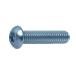 Ŵ ܥ󥭥å(SSS) M10x75 ᡼ 1