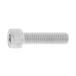 ãС100ġSUS316L CAP  10 X 15 ӣգӣ/(ޤɸ)