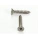 ƥ쥹  åԥ󥰥ӥ M3.5x8mm 10ñ Х SUS  åԥͤ Ŵĥӥ