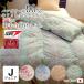 0.6kg �S�A�H�э��|���z�c �W���j�A 135�~185 ���{�� �G�N�Z���S�[���h���x�� ���̃L���g �n���K���[�Y �z���C�g�_�b�N�_�E��90�� �C���X�[��AI �V�A�[�hHDAI