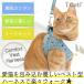  Harness .. кошка кошка кошка Lead имеется iCat кошка для комфорт Harness модный воротник полоса Star 