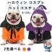 ���� �n���E�B�� �� �R�X�`���[�� �L �� �R�X�v�� ���� �ߑ� �y�b�g ���^�� ���^�� ��^�� �ϐg �g���₷�� ���K �������� �l�C �֗��O�b�Y ���ڃA�C�e��