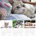 �y�ی�L�E�ی쌢���~���z�������̂��̉��� 2027�J�����_�[