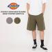  Dickies Dickies мужской шорты Dickies x GORO NAKATSUGAWA Baggy Painte Shorts 56 Buggy pe Inter шорты DS2012