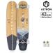  Surf скейтборд 42"/106.7cm GRAVITY gravity 42 AZTRON( Astro n) ABEC9 подшипник скейтборд Surfskate серфинг 