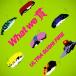 ̵[CD]/ȥʤդ䡼/What we 