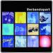 [CDA]/the band apart/BONGO e.p.