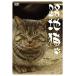 [ бесплатная доставка ][DVD]/ хобби образование /. земля кошка 