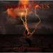 [ бесплатная доставка ][CD]/ANDROGENUS/STILL STANDING