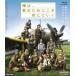 [ бесплатная доставка ][Blu-ray]/ японское кино / Я.,. поэтому ........[ дешевая версия ]