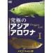 [ бесплатная доставка ][DVD]/ хобби образование / Dragon рыба (1) максимальный Азия аравановые I... серия DVD серии 