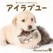 [CD]/ музыкальная шкатулка /α волна музыкальная шкатулка ~ Islay b You ~... музыкальная шкатулка J-POP коллекция 
