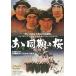 [ бесплатная доставка ][DVD]/ японское кино /.. такой же период. Sakura [ дешевая версия ]