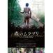 [ бесплатная доставка ][DVD]/ японское кино / лес. пятно желтохвост 
