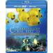 [ бесплатная доставка ][Blu-ray]/ документальный / коралл leaf / море низ бог .. мир 3D [Blu-ray]