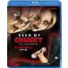 [Blu-ray]/ западное кино / детский * Play / коричневый  ключ. вид 