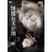[ бесплатная доставка ][DVD]/ японское кино /. кошка половник ..