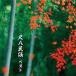 [ бесплатная доставка ][CD]/ рис .. мир мужчина / сякухати фолк лучший 