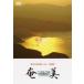 [ бесплатная доставка ][DVD]/BGV/ Amami tida. остров .. остров 