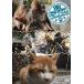 [ бесплатная доставка ][DVD]/ варьете /.....
