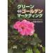 [ бесплатная доставка ][книга@/ журнал ]/ зеленый = золотой маркетинг /. глициния . мужчина / работа ( монография * Mucc )