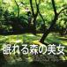 [ аудио книжка CD]... лес. прекрасный женщина / Charles *pe low (CD)